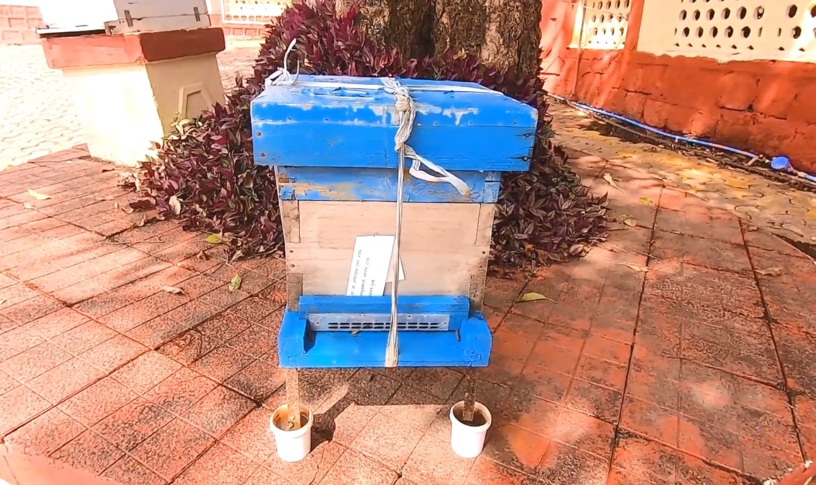 Beehive Box Bee Colony Box