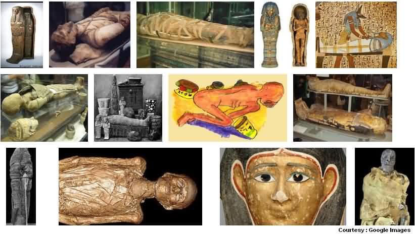Egyptian Mummies Exhibition at Bombay Museum