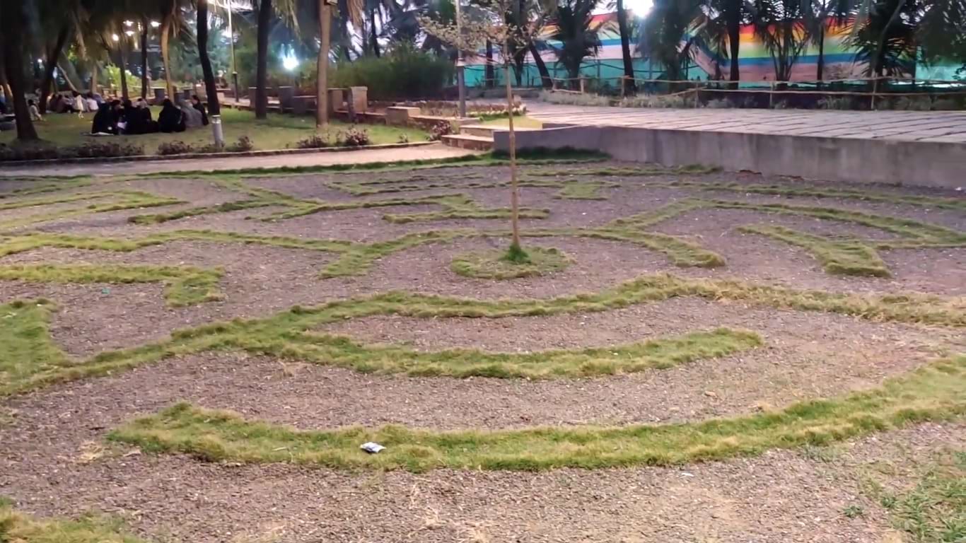 Grass Made Bhul Bhulaiyaa Maze Game