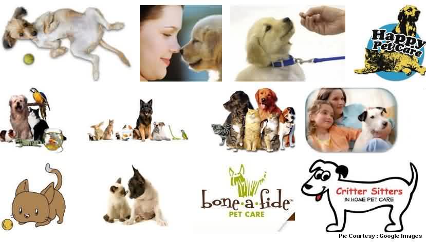 BSPCA Pet Care Centre