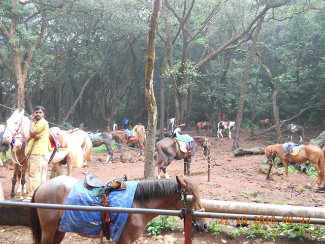 Horse Riding in Matheran