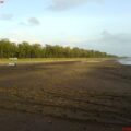 Arnala Beach 1