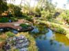 Nirvana Park Greenery and Pond