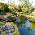 Nirvana Park Greenery and Pond