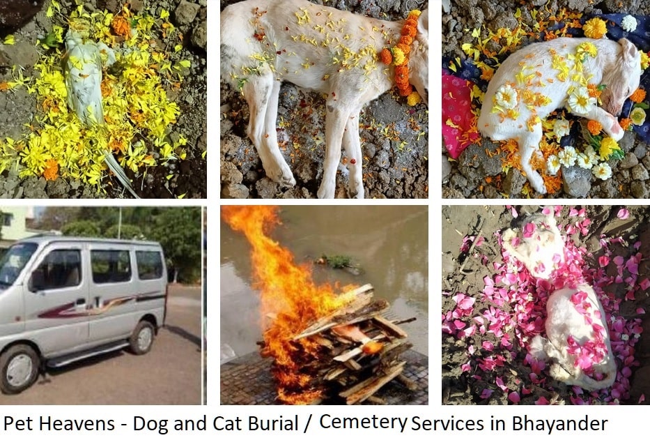 Pet Heavens Crematory Bhayander
