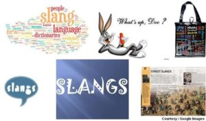 Slangs and Meaning