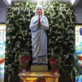 St Mother Teresa Idol